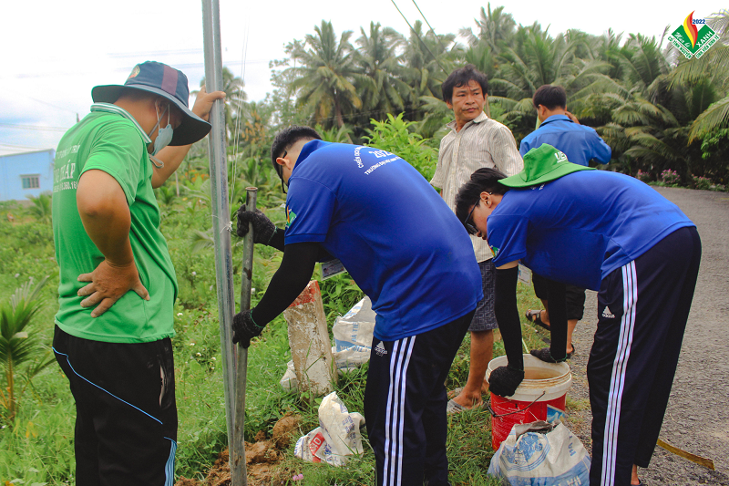 cá cược thể thao hul city